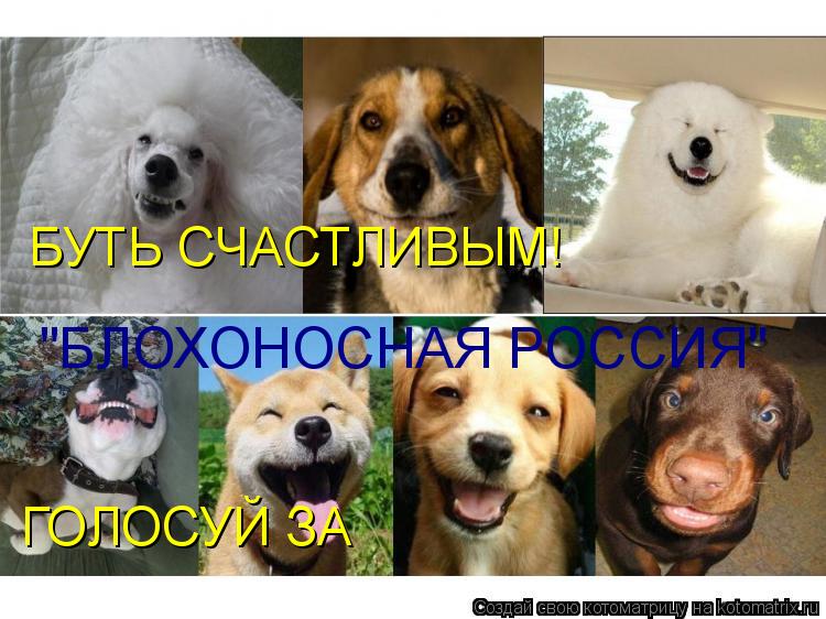 БУТЬ СЧАСТЛИВЫМ! ГОЛОСУЙ ЗА "БЛОХОНОСНАЯ РОССИЯ"... Котоматрица: БУТЬ СЧАСТЛИВЫМ! ГОЛОСУЙ ЗА "БЛОХОНОСНАЯ РОССИЯ"