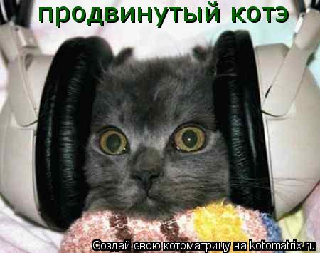 продвинутый котэ... Котоматрица: продвинутый котэ
