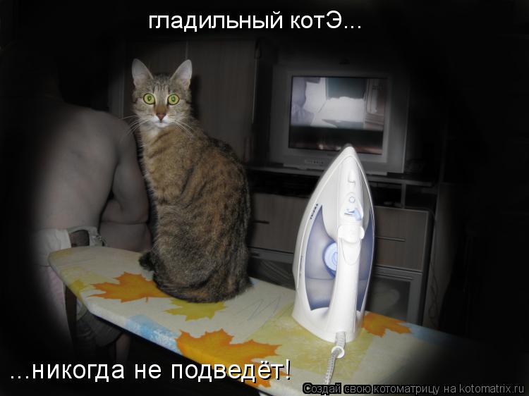 гладильный котЭ... ...никогда не подведёт!... Котоматрица: гладильный котЭ... ...никогда не подведёт!