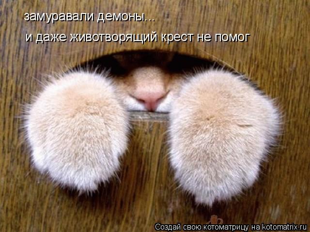 замуравали демоны... и даже животворящий крест не помог... Котоматрица: замуравали демоны... и даже животворящий крест не помог
