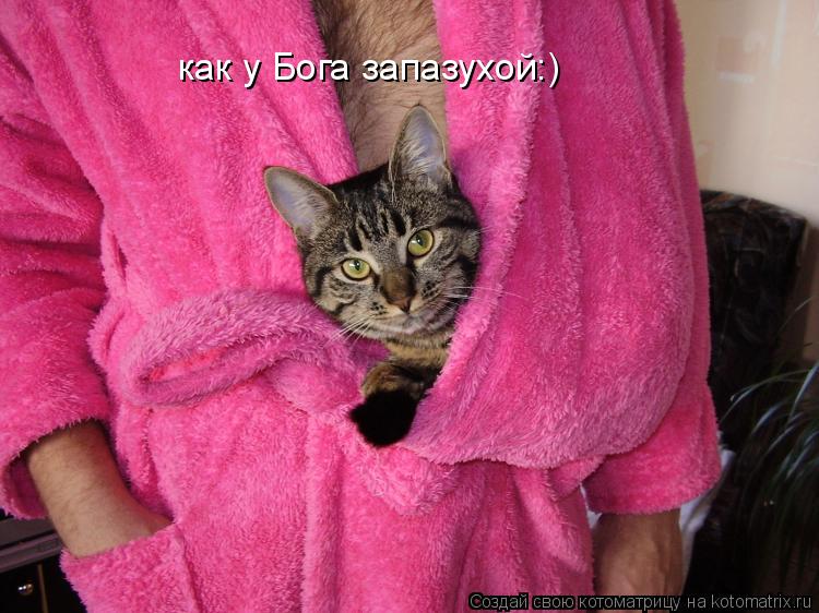 как у Бога запазухой:)... Котоматрица: как у Бога запазухой:)