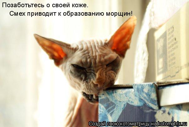 Позаботьтесь о своей коже. Смех приводит к образованию морщин!... Котоматрица: Позаботьтесь о своей коже. Смех приводит к образованию морщин!