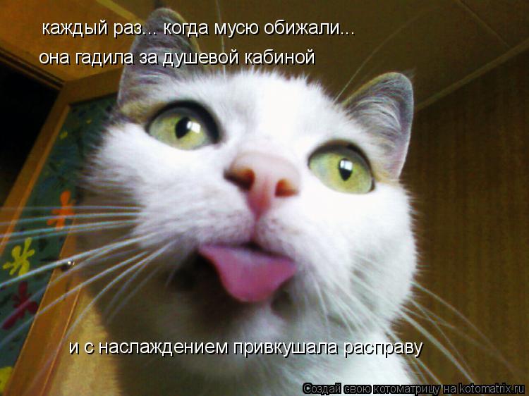 каждый раз... когда мусю обижали... она гадила за душевой кабиной и с наслаждением привкушала расправ... Котоматрица: каждый раз... когда мусю обижали... она гадила за душевой кабиной и с наслаждением привкушала расправу
