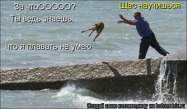 За чтоООООО? Ты ведь знаешь, что я плавать не умею Щас научишься... Котоматрица: За чтоООООО? Ты ведь знаешь, что я плавать не умею Щас научишься