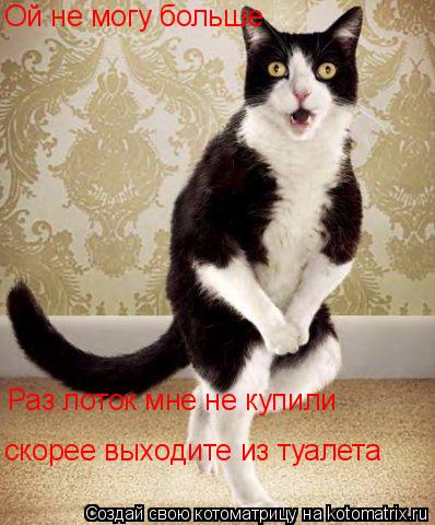 Ой не могу больше Ой не могу больше Раз лоток мне не купили скорее выходите из туалета скорее выходит... Котоматрица: Ой не могу больше Ой не могу больше Раз лоток мне не купили скорее выходите из туалета скорее выходите из туалета