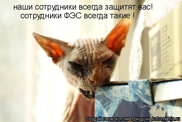 наши сотрудники всегда защитят вас! сотрудники ФЭС всегда такие !... Котоматрица: наши сотрудники всегда защитят вас! сотрудники ФЭС всегда такие !