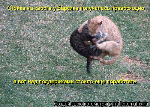 Стойка на хвосте у Барсика получалась превосходно а вот над поддержками стоило еще поработать... Котоматрица: Стойка на хвосте у Барсика получалась превосходно а вот над поддержками стоило еще поработать