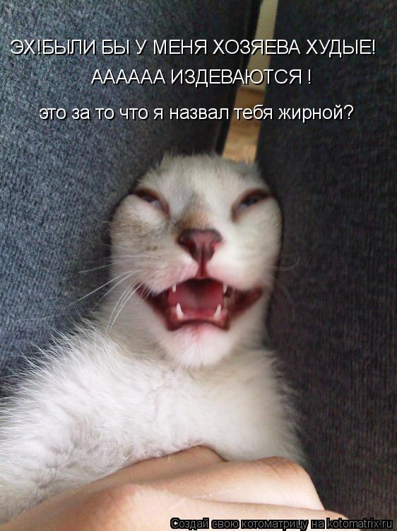 ЭХ!БЫЛИ БЫ У МЕНЯ ХОЗЯЕВА ХУДЫЕ! АААААА ИЗДЕВАЮТСЯ ! это за то что я назвал тебя жирной?... Котоматрица: ЭХ!БЫЛИ БЫ У МЕНЯ ХОЗЯЕВА ХУДЫЕ! АААААА ИЗДЕВАЮТСЯ ! это за то что я назвал тебя жирной?