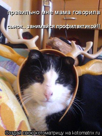 правильно мне мама говорила сынок.. занимайся профилактикой!!... Котоматрица: правильно мне мама говорила сынок.. занимайся профилактикой!!