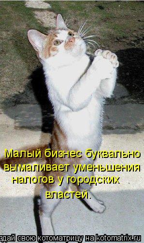Малый бизнес буквально вымаливает уменьшения налогов у городских властей.... Котоматрица: Малый бизнес буквально вымаливает уменьшения налогов у городских властей.