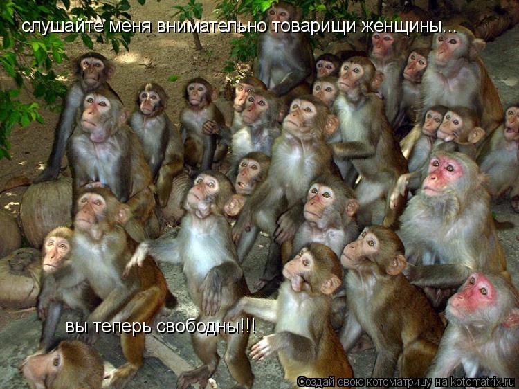 слушайте меня внимательно товарищи женщины... вы теперь свободны!!!... Котоматрица: слушайте меня внимательно товарищи женщины... вы теперь свободны!!!