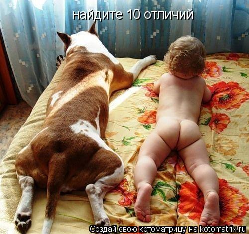 найдите 10 отличий... Котоматрица: найдите 10 отличий
