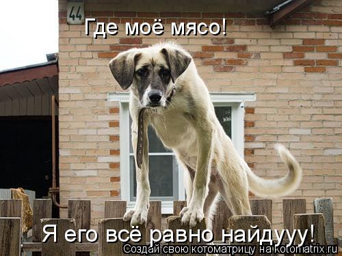 Где моё мясо! Я его всё равно найдууу!... Котоматрица: Где моё мясо! Я его всё равно найдууу!