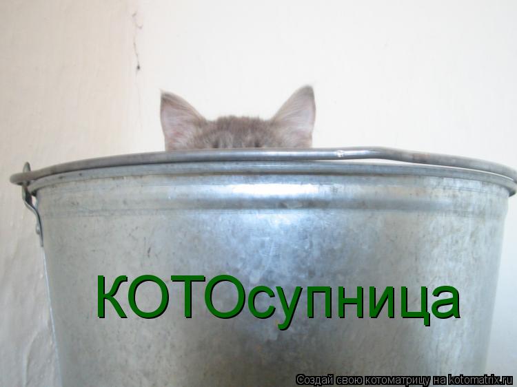 КОТОсупница... Котоматрица: КОТОсупница