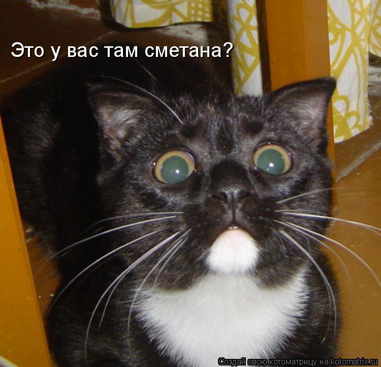 Это у вас там сметана?... Котоматрица: Это у вас там сметана?