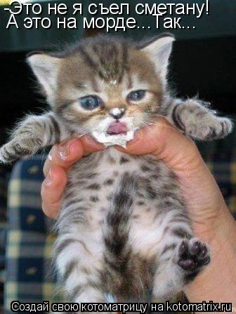 -Это не я съел сметану! А это на морде...Так...... Котоматрица: -Это не я съел сметану! А это на морде...Так...
