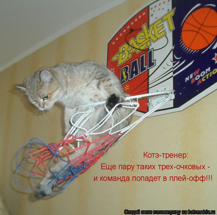 Еще пару таких трех-очковых - и команда попадет в плей-офф!!! Котэ-тренер:... Котоматрица: Еще пару таких трех-очковых - и команда попадет в плей-офф!!! Котэ-тренер: