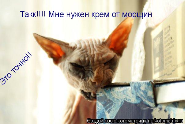 Такк!!!! Мне нужен крем от морщин Это точно!!... Котоматрица: Такк!!!! Мне нужен крем от морщин Это точно!!