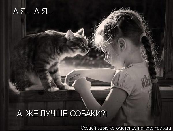 А Я... А Я... А ЖЕ ЛУЧШЕ СОБАКИ?!... Котоматрица: А Я... А Я... А ЖЕ ЛУЧШЕ СОБАКИ?!