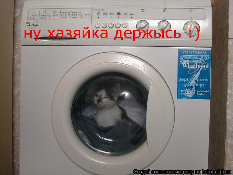 ну хазяйка держысь :)... Котоматрица: ну хазяйка держысь :)