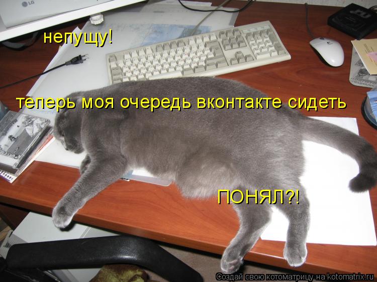 непущу! теперь моя очередь вконтакте сидеть ПОНЯЛ?!... Котоматрица: непущу! теперь моя очередь вконтакте сидеть ПОНЯЛ?!