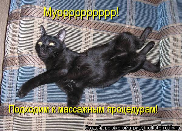 Котоматрица: Мурррррррррр! Подходим к массажным процедурам!