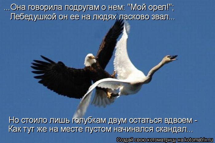 ...Она говорила подругам о нем: "Мой орел!"; Лебедушкой он ее на людях ласково звал... Но стоило лишь... Котоматрица: ...Она говорила подругам о нем: "Мой орел!"; Лебедушкой он ее на людях ласково звал... Но стоило лишь голубкам двум остаться вдвоем - Как тут же