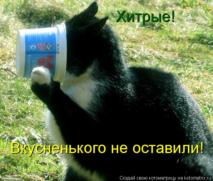 Котоматрица: Хитрые! Вкусненького не оставили!