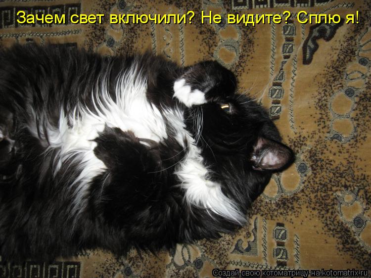 Зачем свет включили? Не видите? Сплю я!... Котоматрица: Зачем свет включили? Не видите? Сплю я!