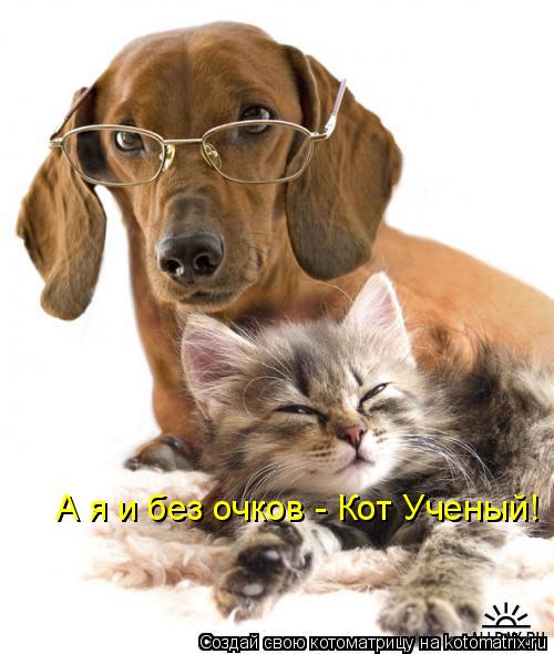 А я и без очков - Кот Ученый!... Котоматрица: А я и без очков - Кот Ученый!