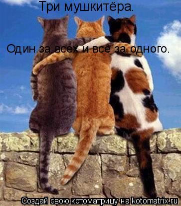 Три мушкитёра. Один за всех и все за одного.... Котоматрица: Три мушкитёра. Один за всех и все за одного.