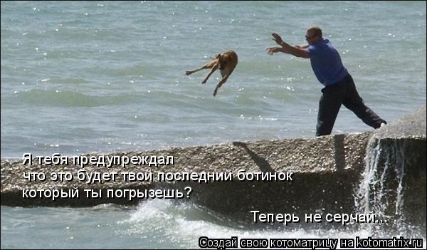 что это будет твой последний ботинок который ты погрызешь? Я тебя предупреждал Теперь не серчай...... Котоматрица: что это будет твой последний ботинок который ты погрызешь? Я тебя предупреждал Теперь не серчай...