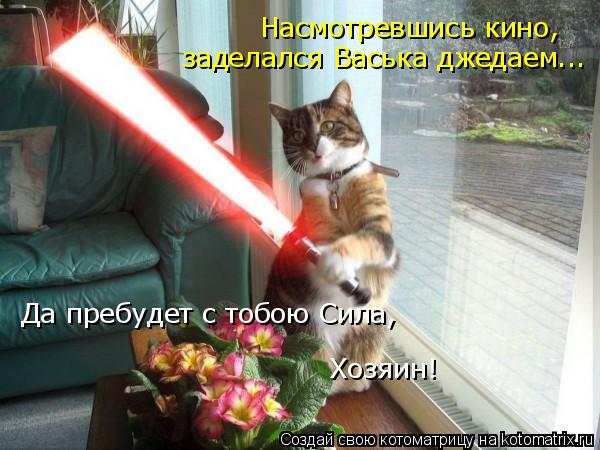 Насмотревшись кино, заделался Васька джедаем... Да пребудет с тобою Сила, Хозяин!... Котоматрица: Насмотревшись кино, заделался Васька джедаем... Да пребудет с тобою Сила, Хозяин!