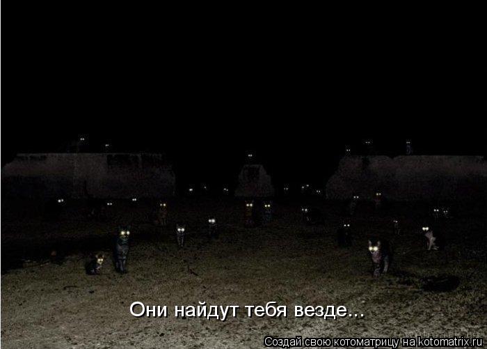 Они найдут тебя везде...... Котоматрица: Они найдут тебя везде...
