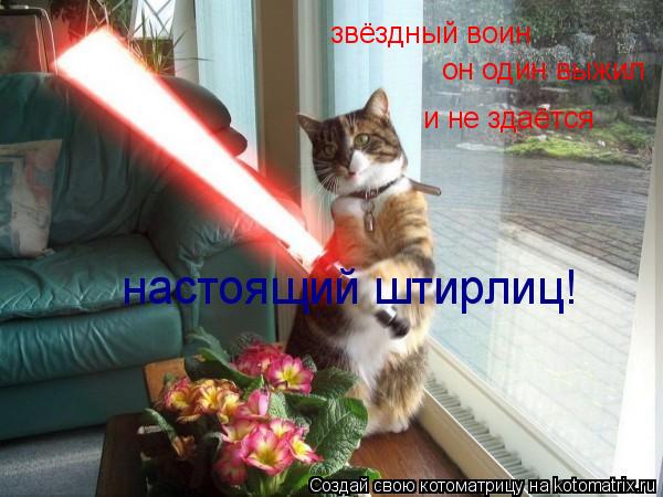 звёздный воин он один выжил и не здаётся настоящий штирлиц!... Котоматрица: звёздный воин он один выжил и не здаётся настоящий штирлиц!
