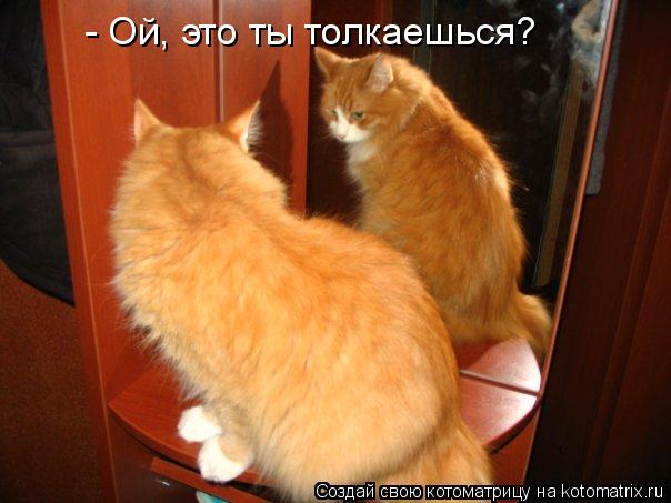 Котоматрица: - Ой, это ты толкаешься?