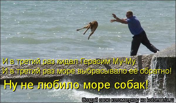 Котоматрица: И в третий раз кидал Герасим Му-Му.  Ну не любило море собак! И в третий раз море выбрасывало её обратно!
