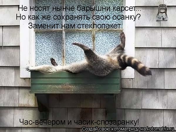 Котоматрица: Не носят нынче барышни карсет... Но как же сохранять свою осанку? Заменит нам стеклопакет: Час-вечером и часик-спозаранку!