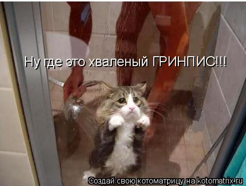 Котоматрица: Ну где это хваленый ГРИНПИС!!!