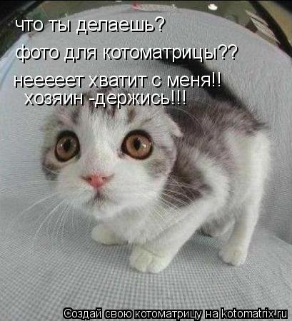 Котоматрица: что ты делаешь? фото для котоматрицы?? нееееет хватит с меня!! хозяин -держись!!!