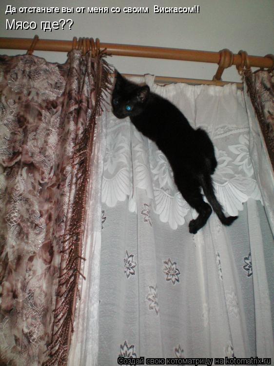 Котоматрица: Да отстаньте вы от меня со своим  Вискасом!! Мясо где??