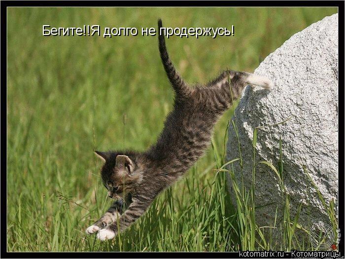 Котоматрица: Бегите!!Я долго не продержусь!