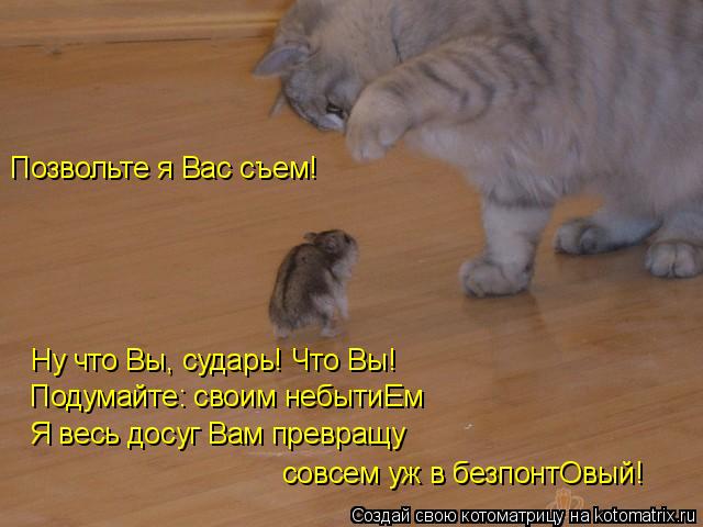 Котоматрица: Позвольте я Вас съем! Ну что Вы, сударь! Что Вы! Подумайте: своим небытиЕм Я весь досуг Вам превращу  совсем уж в безпонтОвый!