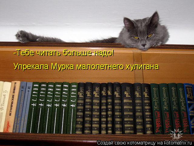 Котоматрица: -Тебе читать больше надо!  Упрекала Мурка малолетнего хулигана