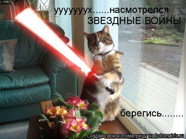 Котоматрица: ууууууух......насмотрелся  ЗВЕЗДНЫЕ ВОЙНЫ берегись........