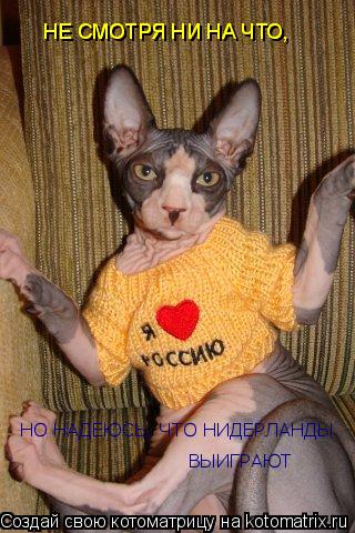 Котоматрица: НЕ СМОТРЯ НИ НА ЧТО, НЕ СМОТРЯ НИ НА ЧТО, НО НАДЕЮСЬ, ЧТО НИДЕРЛАНДЫ  ВЫИГРАЮТ