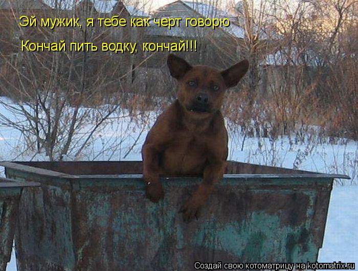 Котоматрица: Эй мужик, я тебе как черт говорю Кончай пить водку, кончай!!!
