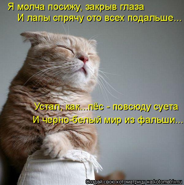 Котоматрица: Я молча посижу, закрыв глаза И лапы спрячу ото всех подальше... Устал, как...пёс - повсюду суета И черно-белый мир из фальши...
