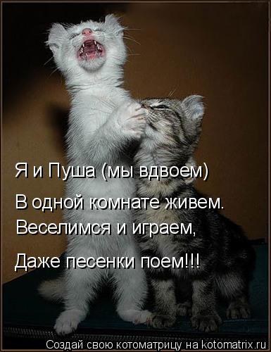 Котоматрица: Я и Пуша (мы вдвоем) В одной комнате живем. Веселимся и играем, Даже песенки поем!!!