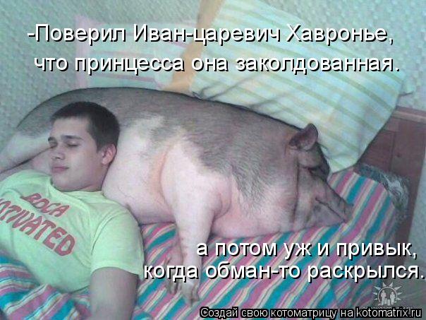 -Поверил Иван-царевич Хавронье, что принцесса она заколдованная. а потом уж и привык, когда обман-то ... Котоматрица: -Поверил Иван-царевич Хавронье, что принцесса она заколдованная. а потом уж и привык, когда обман-то раскрылся.